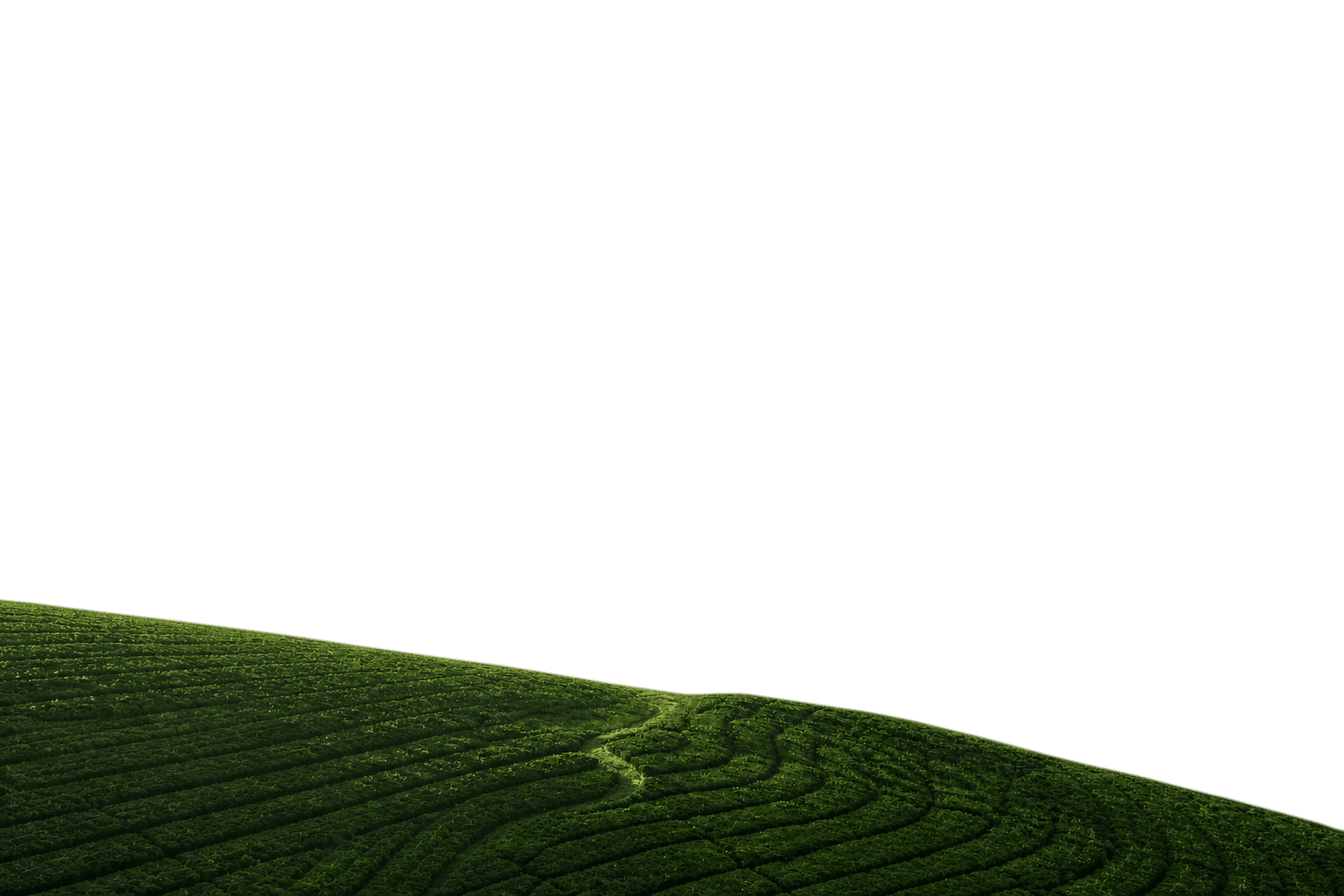 Layer 1