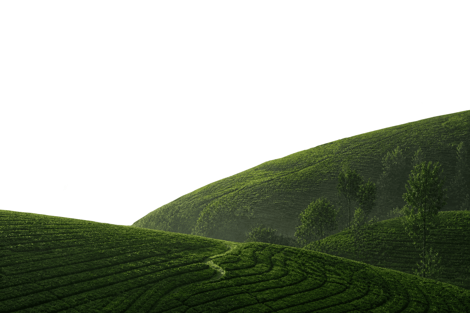 Layer 2