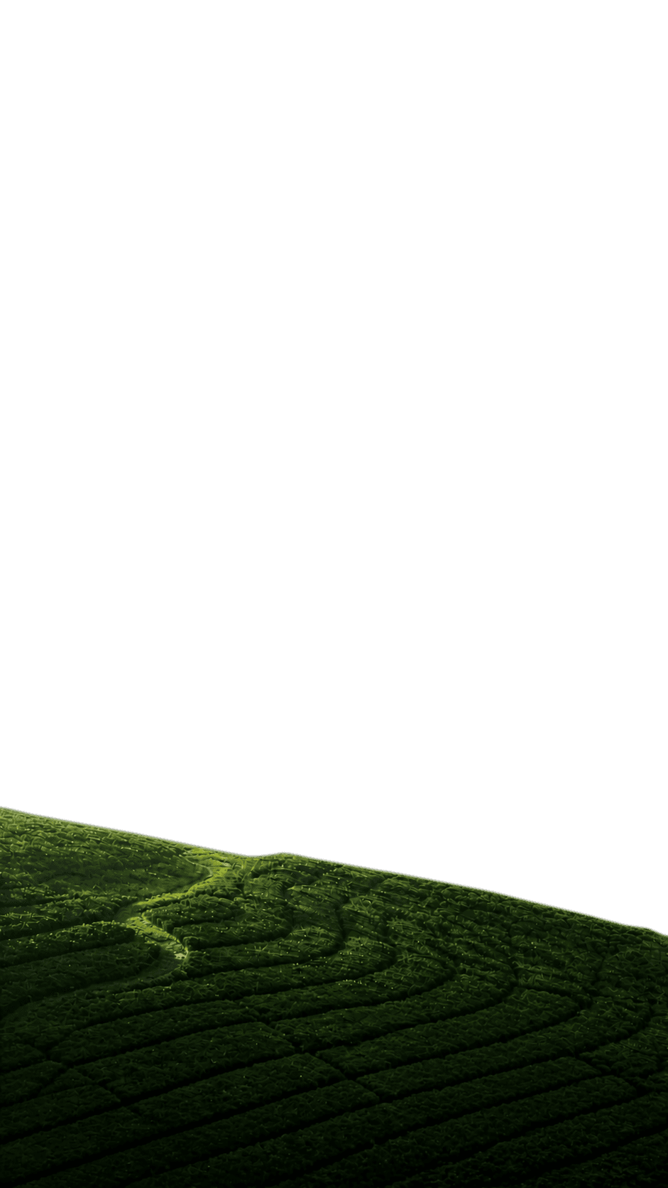 Layer 1 Mobile