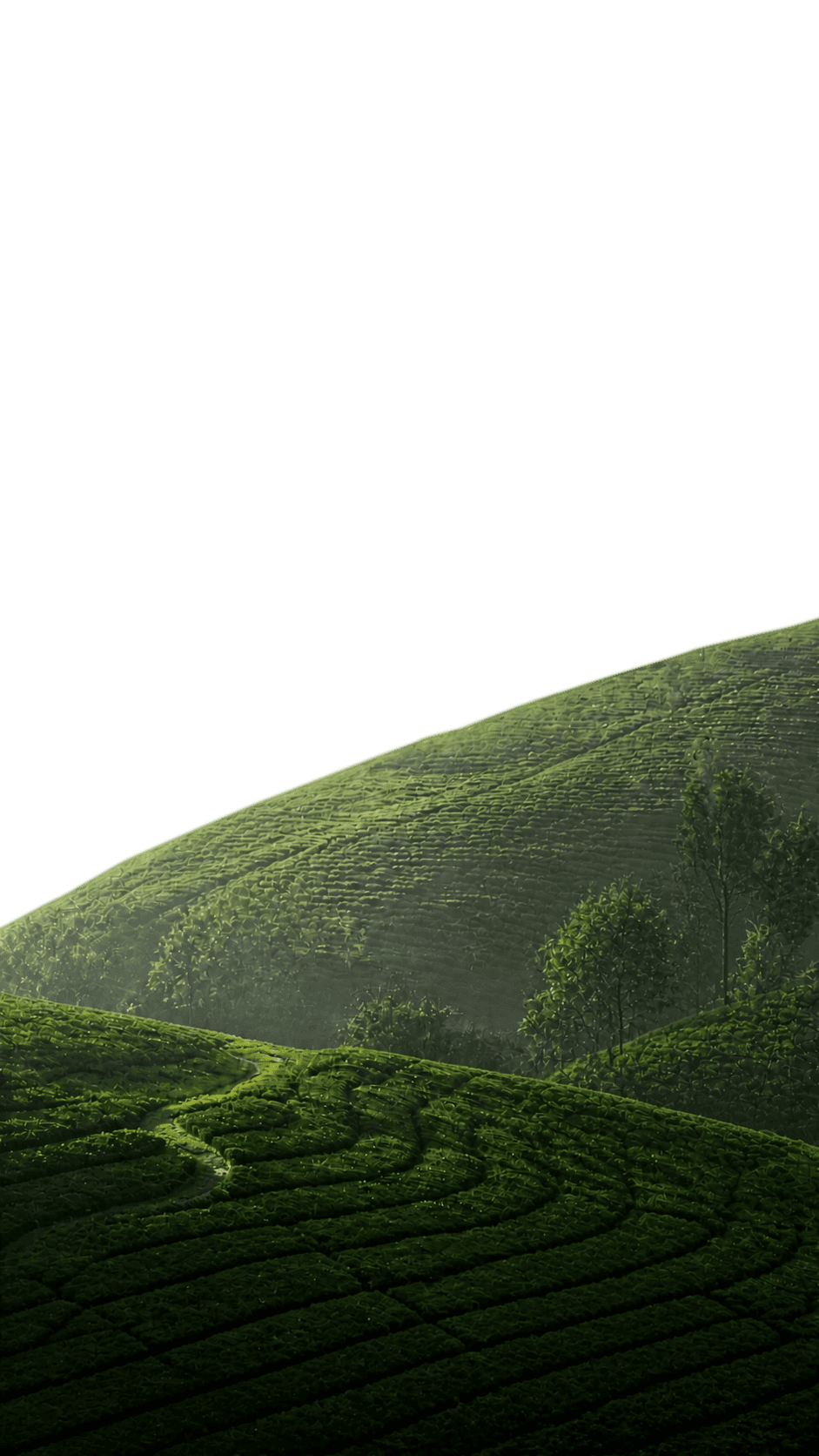 Layer 2 Mobile